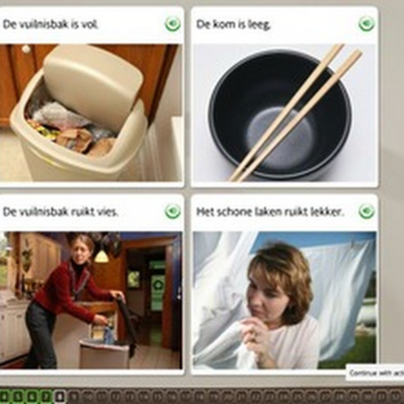 Deciphering Dutch grammar
