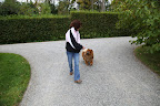 We work on walking back and forth on the carriage road as well.  I will have to walk back and forth and also around a circle with the other dogs in my class.