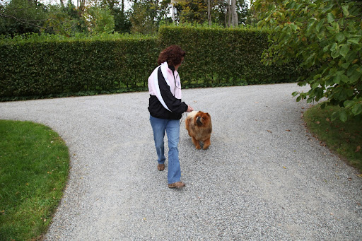 We work on walking back and forth on the carriage road as well.  I will have to walk back and forth and also around a circle with the other dogs in my class.