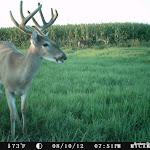PICT1227.JPG