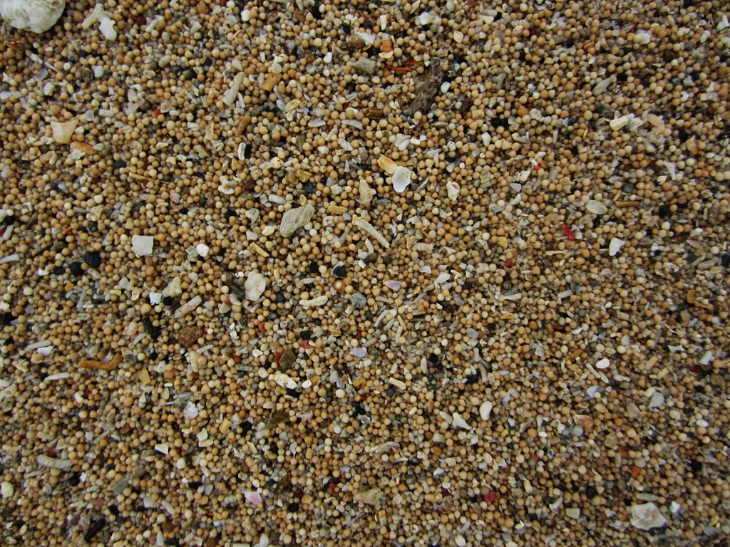[IMG_1400%255B4%255D.jpg]