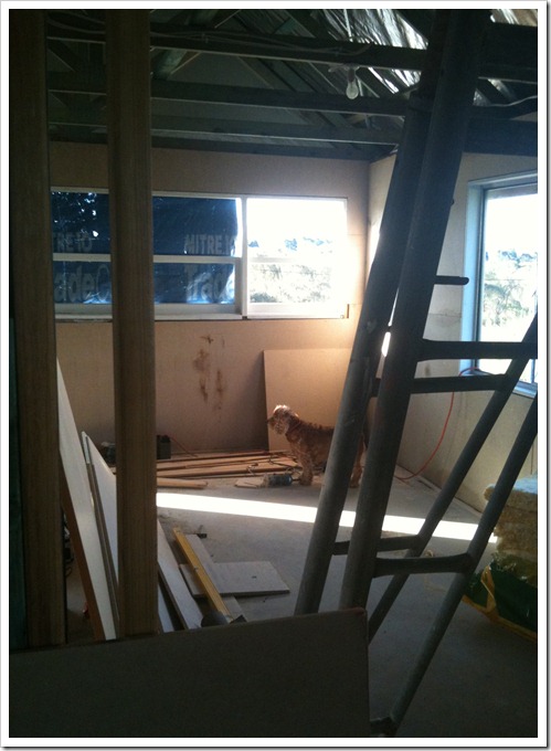 april 2012 020