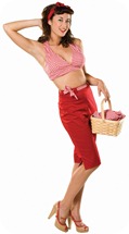 adult-picnic-pennie-costume