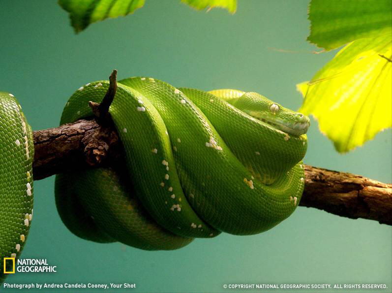 PHOTOS FROM NATIONAL GEOGRAPHIC