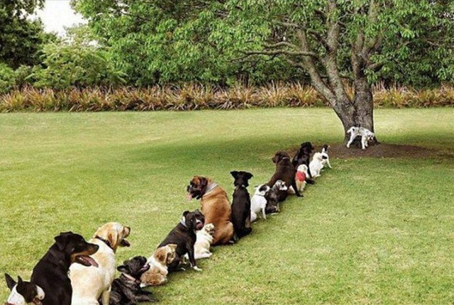 [Waiting-In-Line%255B4%255D.jpg]