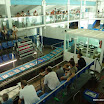 P1070520.JPG