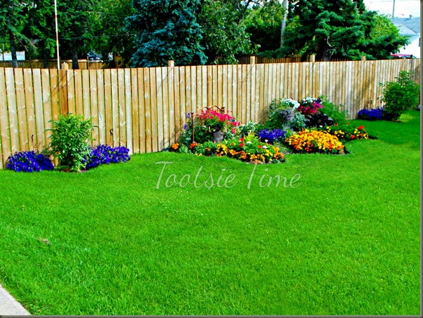 BeFunky_058.jpg BeFunky_058.jpg