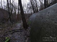 dsc06154.jpg