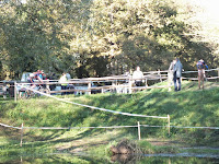 DSCF7504.JPG