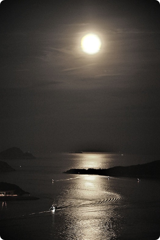 Moonlight Moonlight