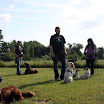 anwesende_hunde_2.jpg