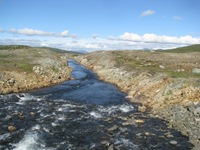 IMG_6910 IMG_6910