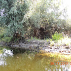 DSCN4487.JPG