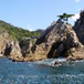 View album