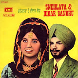 Punjabi Vinyls