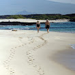 Footprints at the beach