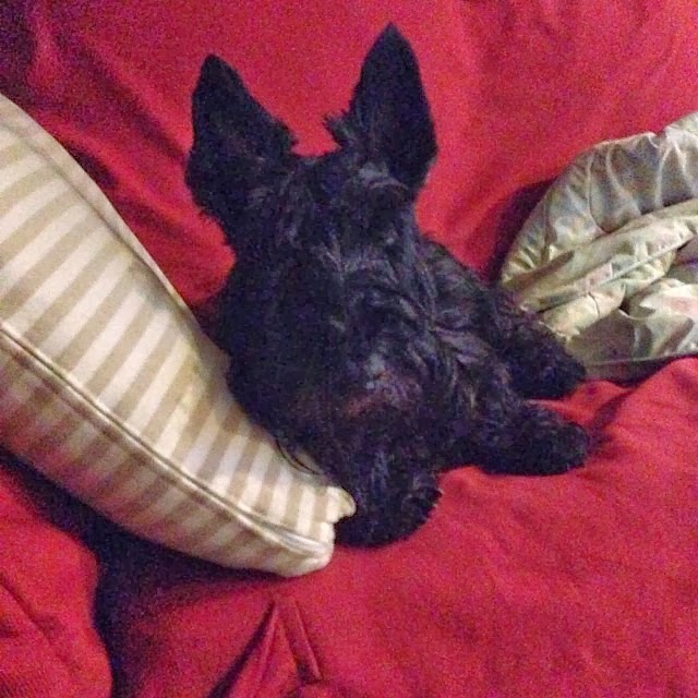 [2013-11-01_1383313338%255B3%255D.jpg]