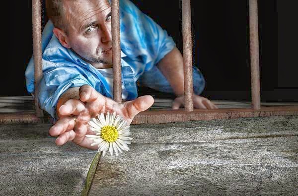 [946710_165848680243822_1832151593_n%255B3%255D.jpg]