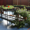 BloemenmarktDorpshuis.110512 012.JPG