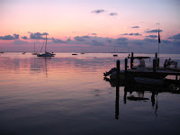 IMG_4380.jpg
