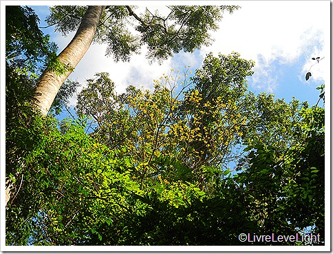 DSCN0581 DSCN0581