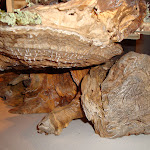 1466-5.JPG