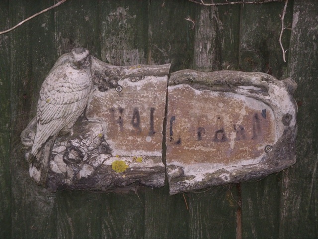 IMGP1817