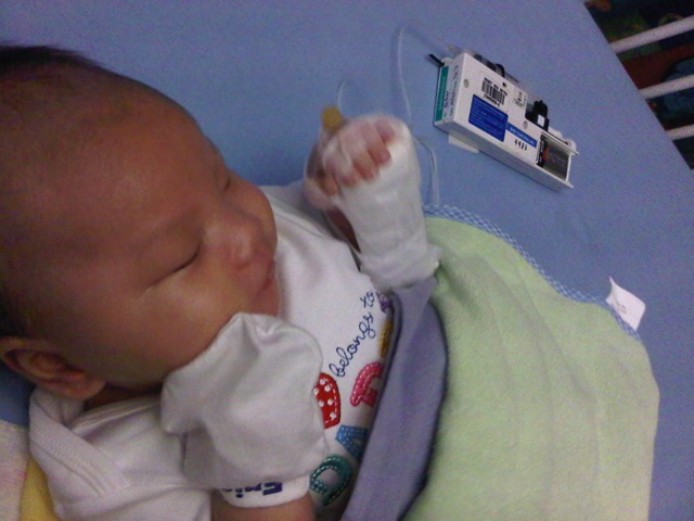 [IMG01160-20120122-0415%255B3%255D.jpg]