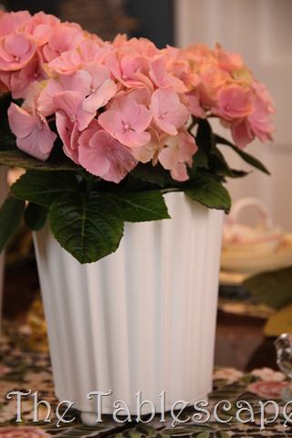 [Easter-Dinner-0553.jpg]