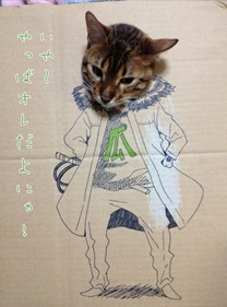 Best Cat Cosplay Ever!