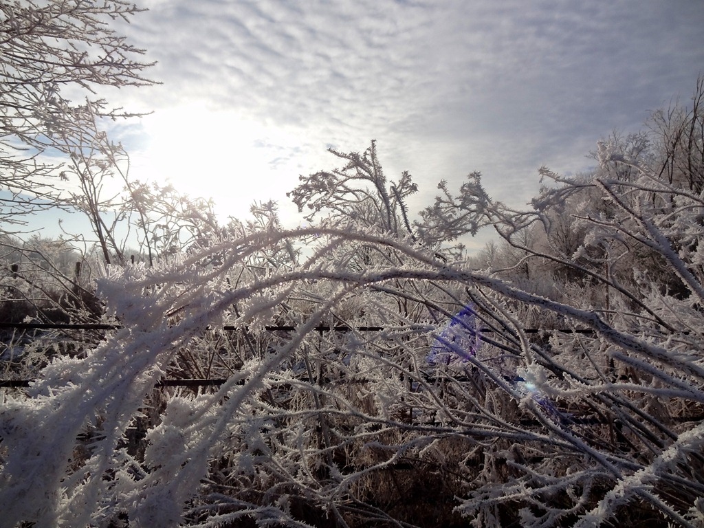 [2013%2520Jan%2520Ice%2520Storm%2520Cambridge%252034%255B4%255D.jpg]