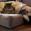 20080120_142006_003[1].jpg