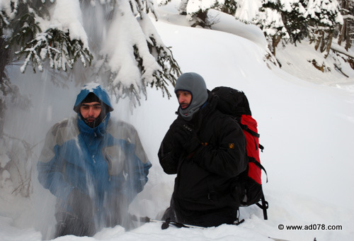 DSC_2210.jpg