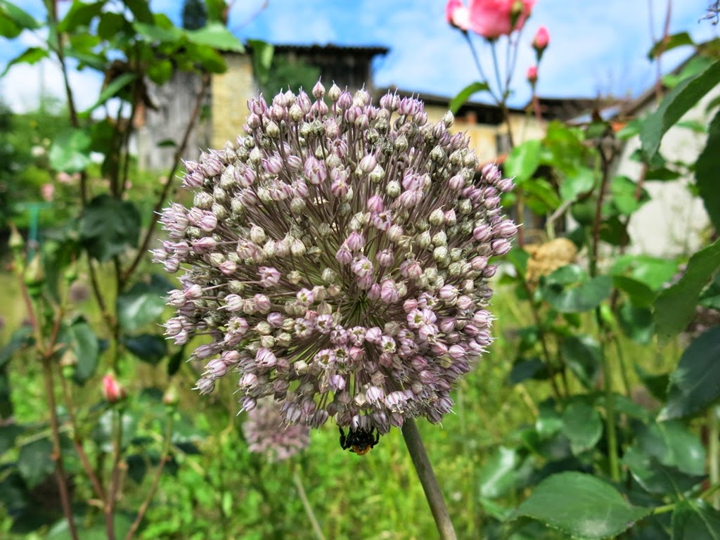 [IMG_4300%255B3%255D.jpg]