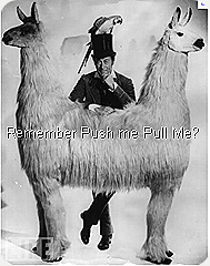 Prejudice is Ignorance Push me Pull Me