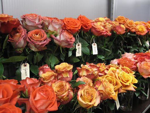 I love the colors of these roses. There are hundreds of varieties of roses at A Rose By Harvest in New York City.