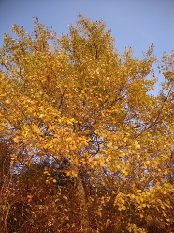 [DSC06633%255B3%255D.jpg]