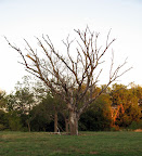 IMG_6145.JPG