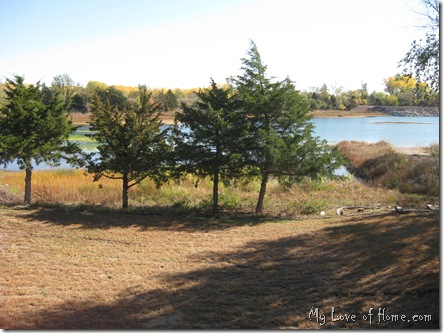 Kansas Lake cedar