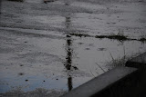 DSC_2936.JPG