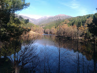 Pantano Lanzahita Photo