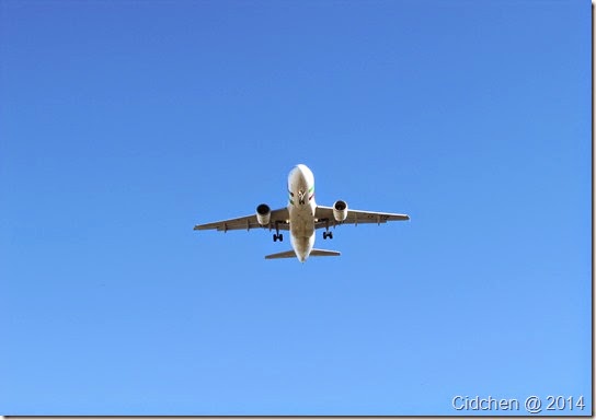 IMG_5800 IMG_5800