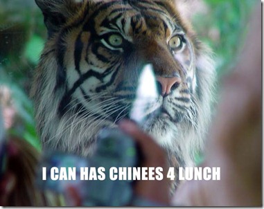 tiger tiger
