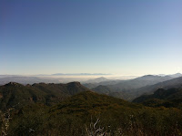 First views Photo