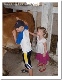 Goofy (6) & Minnie (3) making friends with a cow