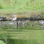 DSC_1227.jpg