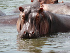 South Luanga Nationalpark