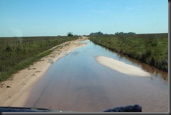 IMG_2407 IMG_2407