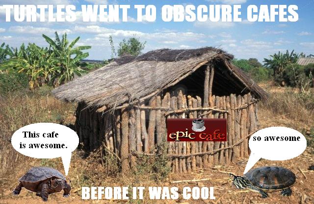 Turtles went to obscure cafes before it was cool