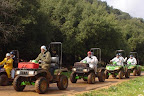 p1231678442(5).jpg